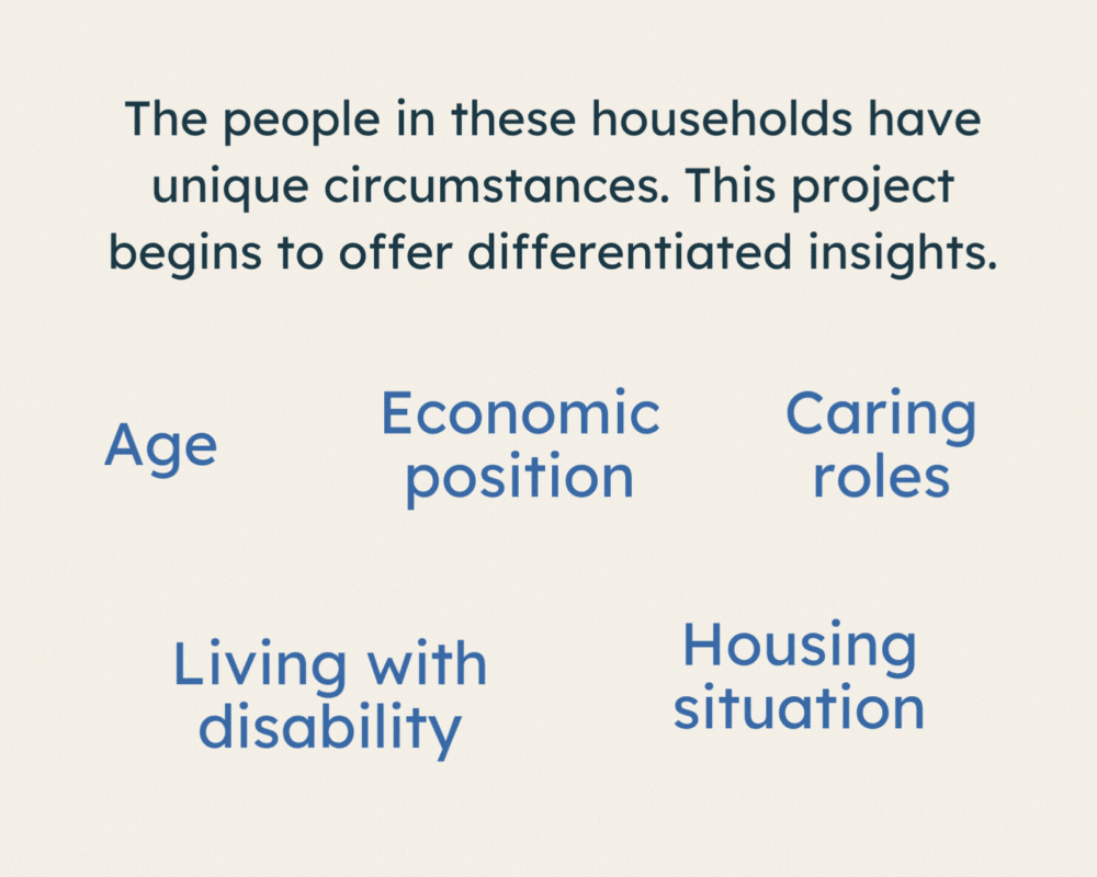 Final image showing data process. The different circumstances experienced by the households in the RAPID data are shown - age, economic position, caring roles, living with disability, housing situation. RAPID can show differentiated insights based on these circumstances.